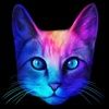 techmeow